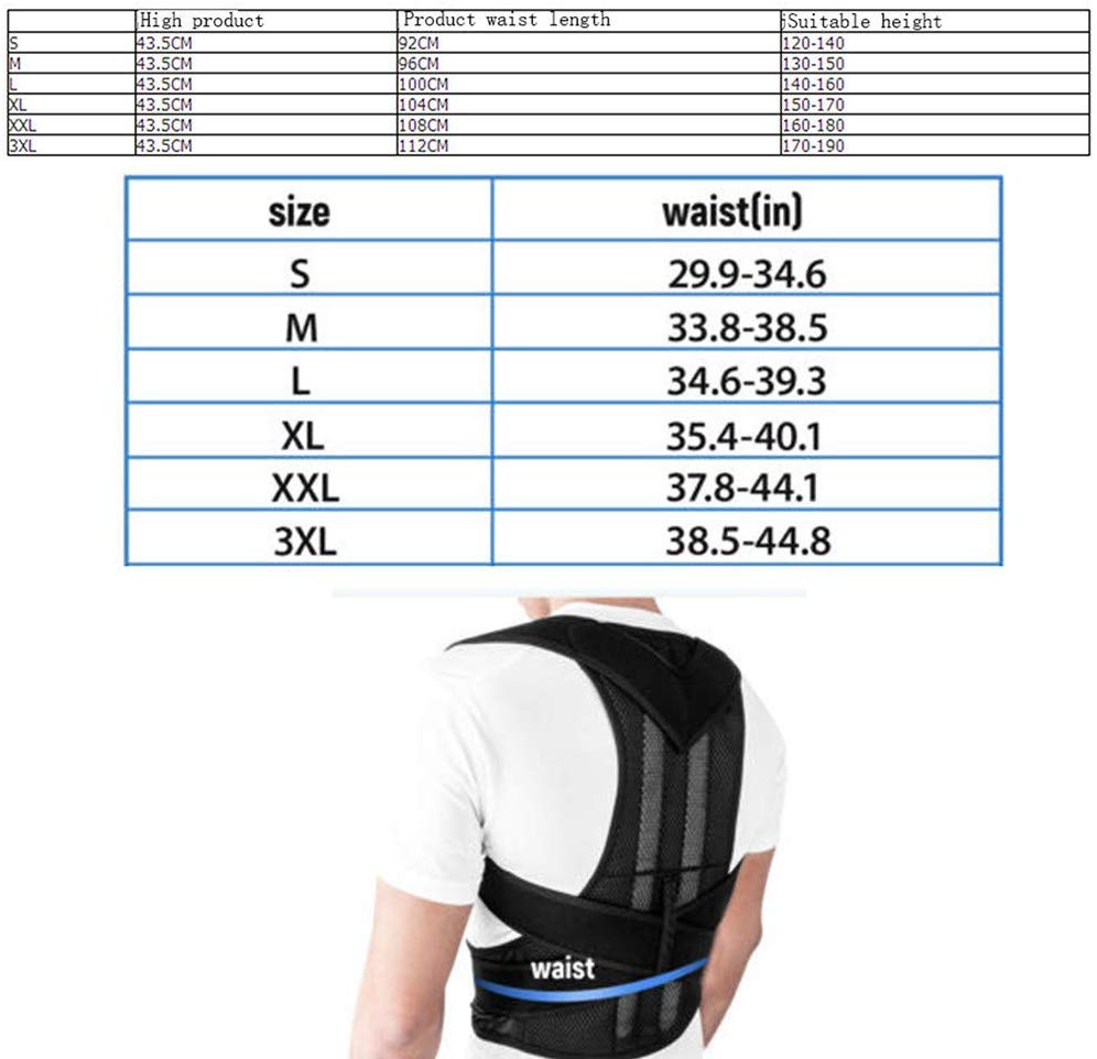 Posture Corrector Belt for Men & Women